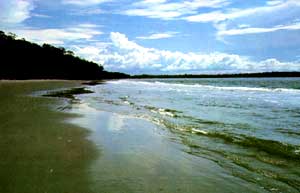 costa_01.jpg (8793 bytes)