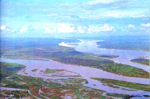 season_swamp.jpg (8944 bytes)