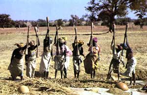 steppe.jpg (16759 bytes)